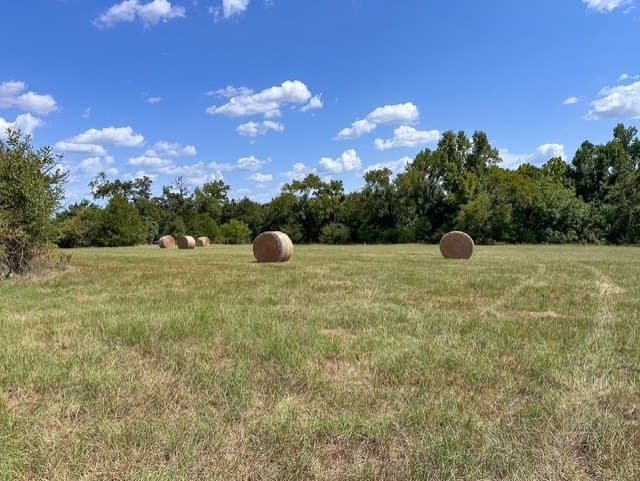 28.5 acres in Anderson County - photo 12