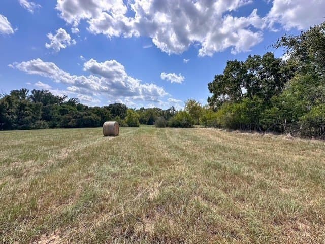 28.5 acres in Anderson County - photo 11