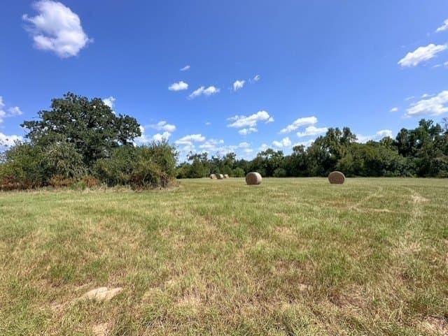 28.5 acres in Anderson County - photo 6