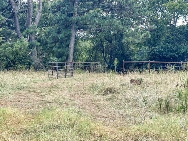 28.5 acres in Anderson County - photo 18