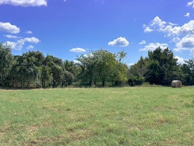 28.5 acres in Anderson County - photo 5