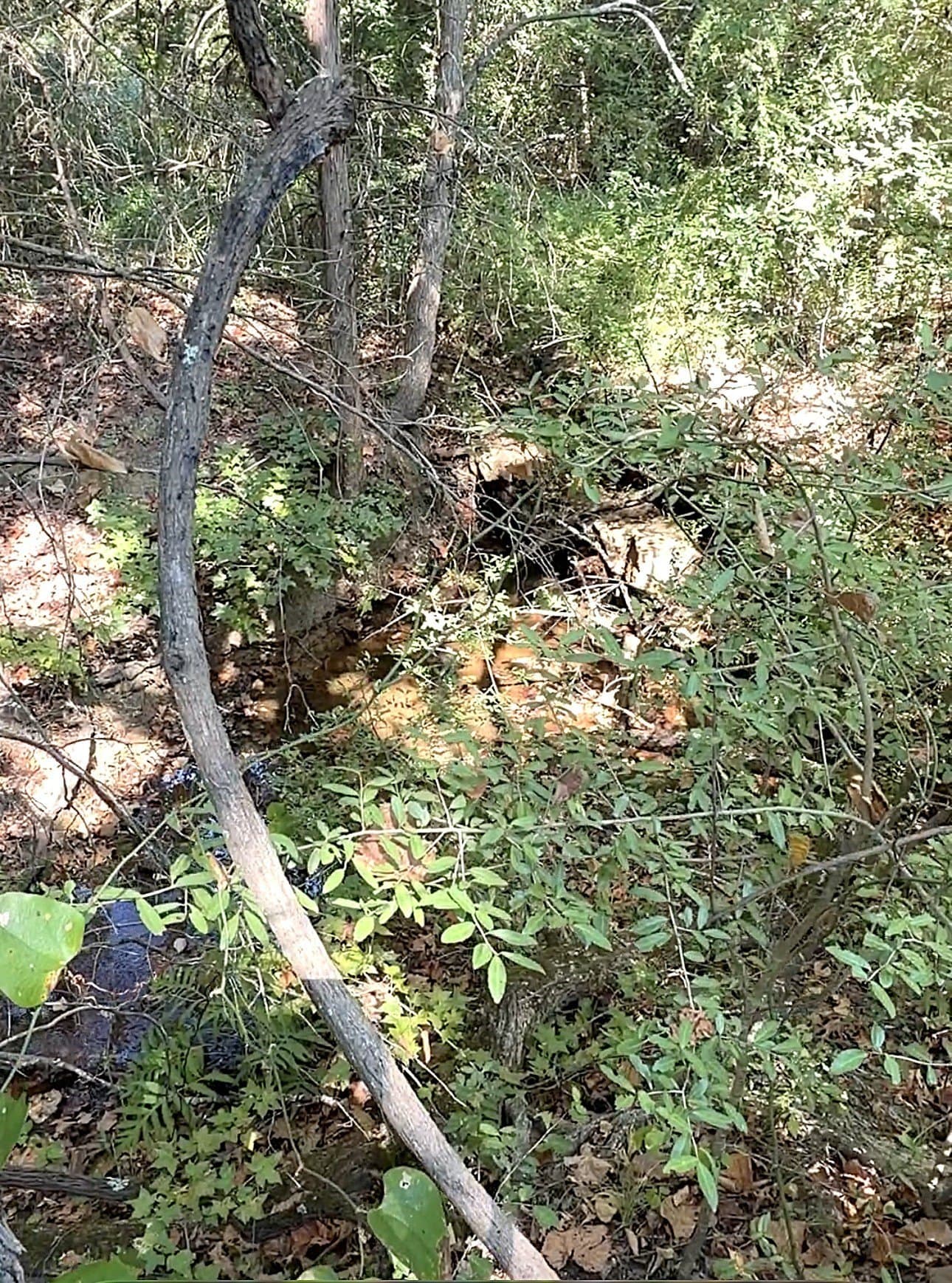 28.5 acres in Anderson County - photo 30