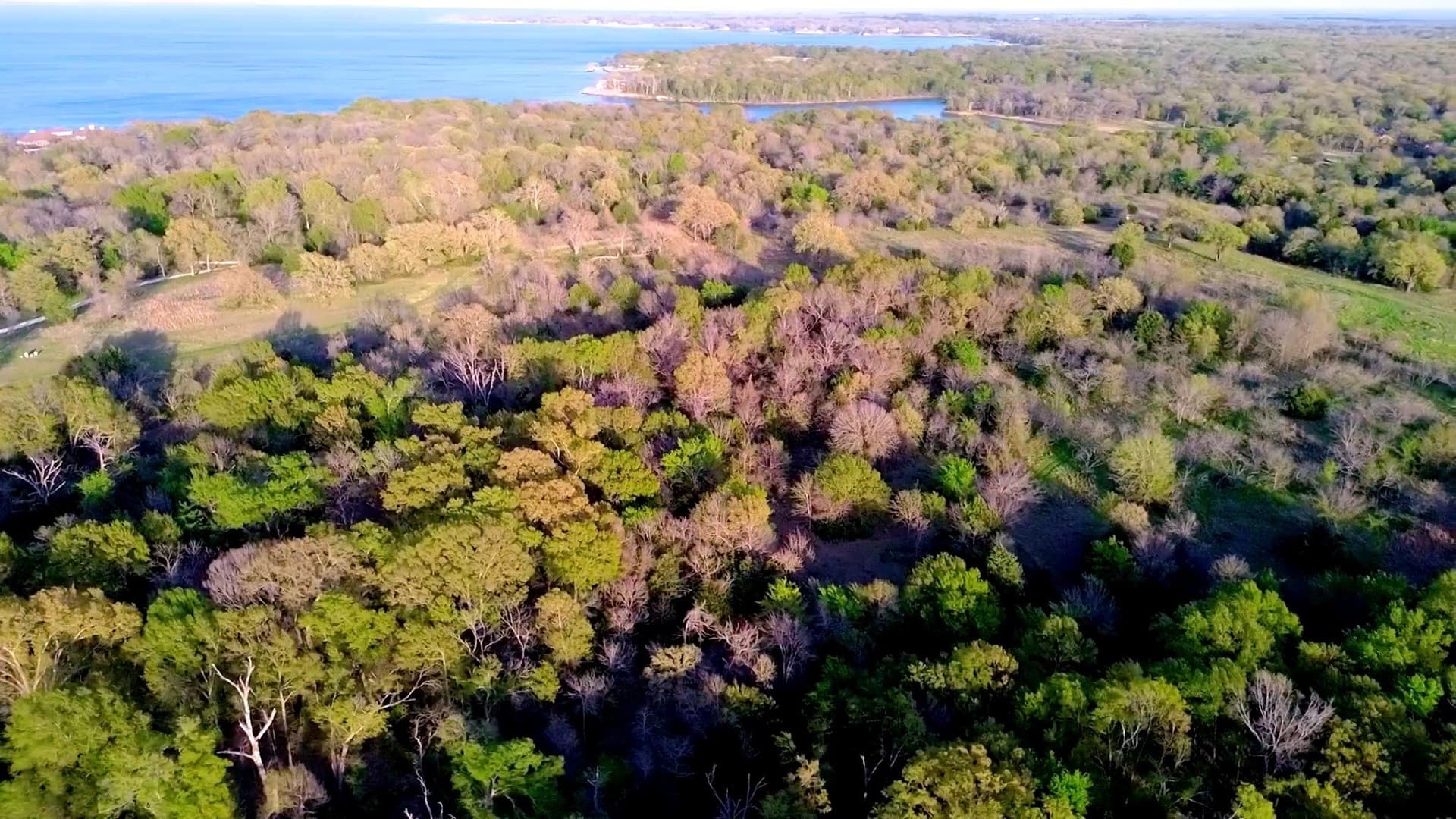72 acres in Navarro County gallery image 4