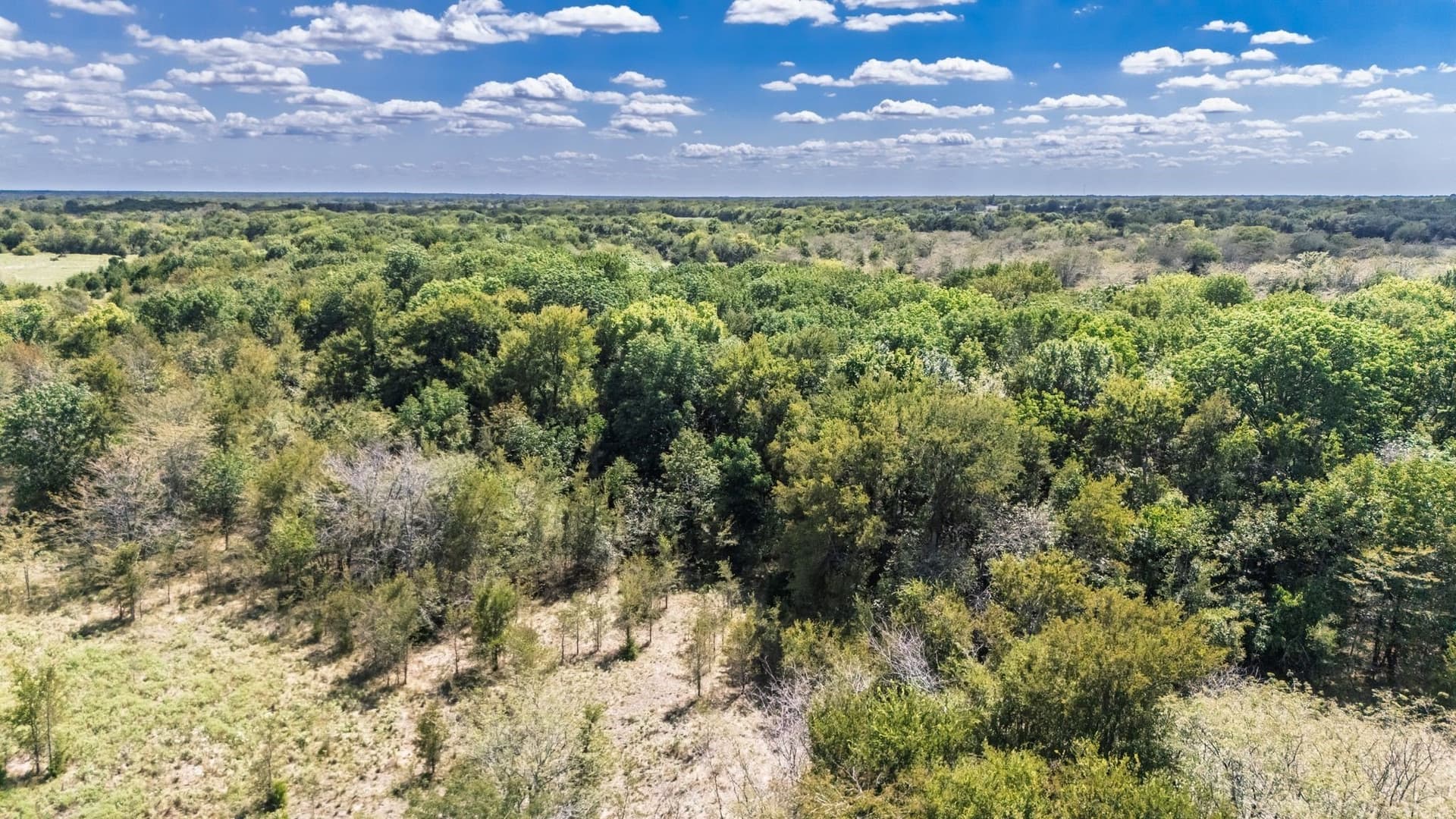 30 acres in Hunt County - photo 27