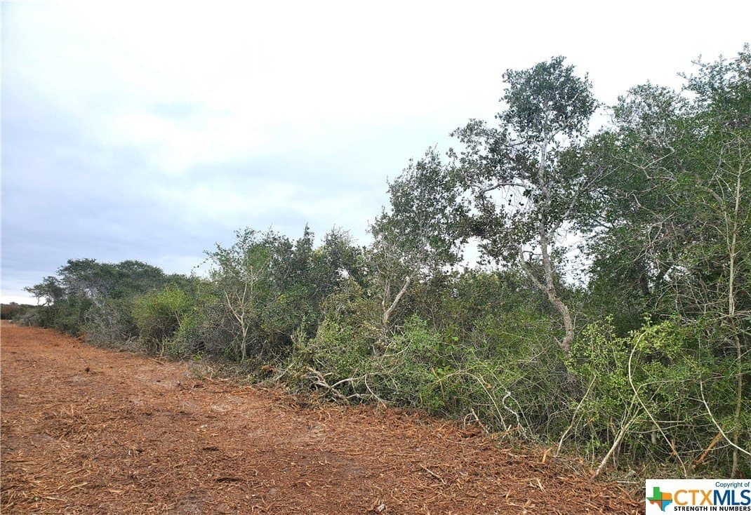2 acres in Calhoun County gallery image 4