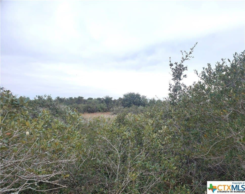 2 acres in Calhoun County - photo 6