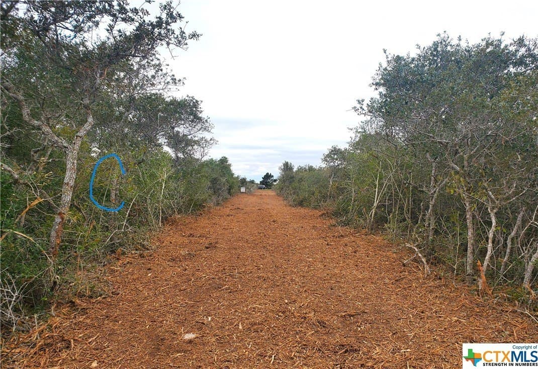2 acres in Calhoun County gallery image 3