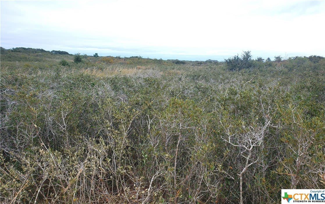 2 acres in Calhoun County featured view