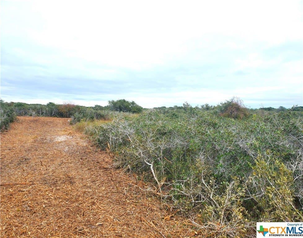 2 acres in Calhoun County gallery image 2