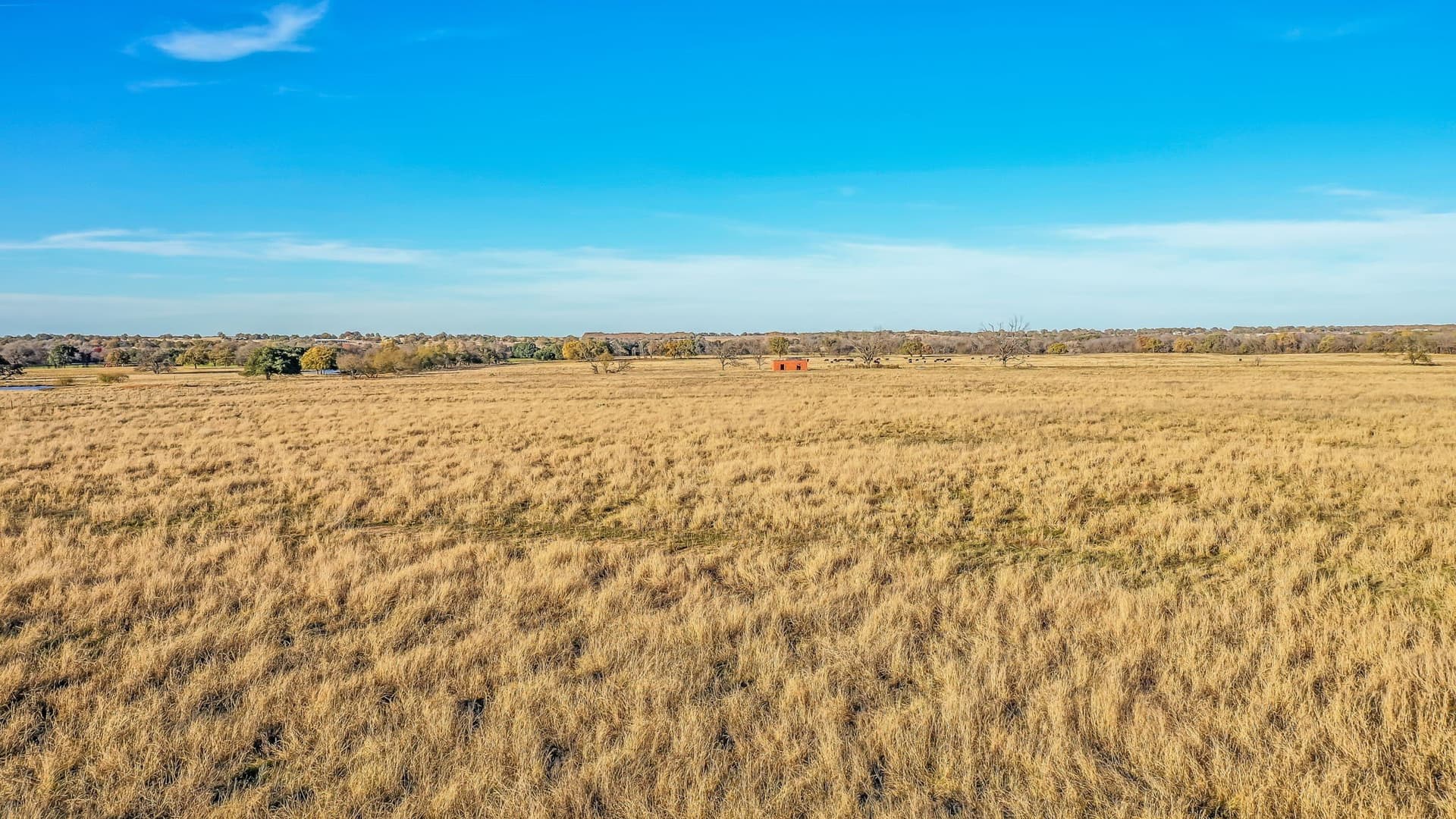 30 acres in Hood County - photo 8