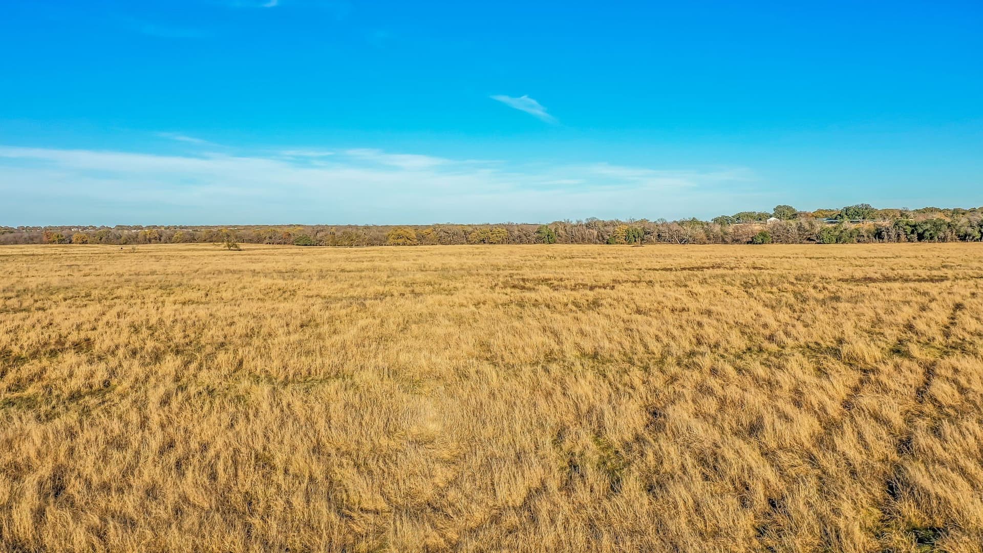 30 acres in Hood County - photo 9