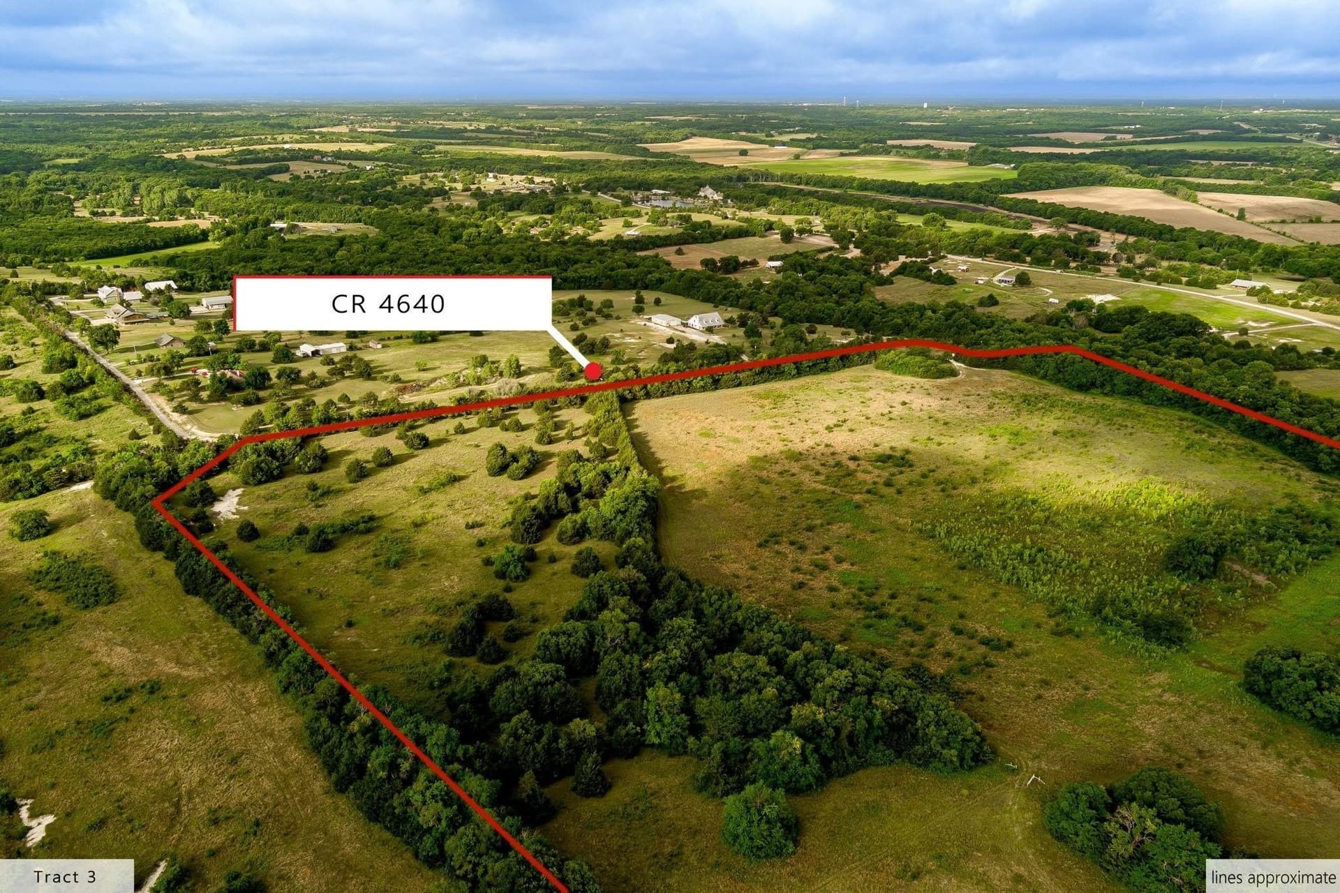 84.61 acres in Fannin County gallery image 4
