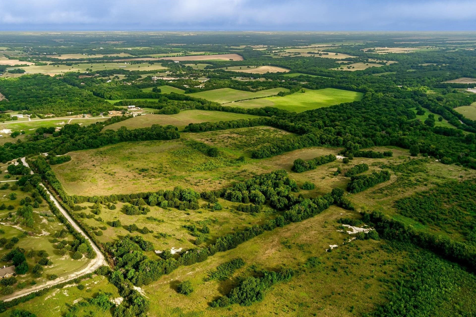 84.61 acres in Fannin County gallery image 2