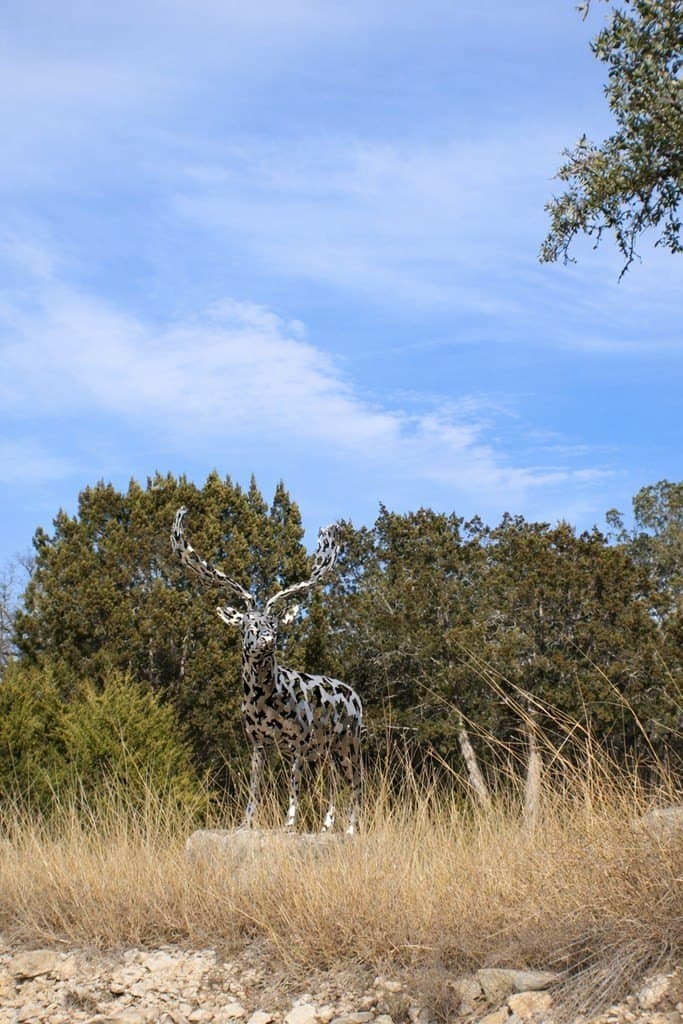 12.5 acres in Kerr County gallery image 2