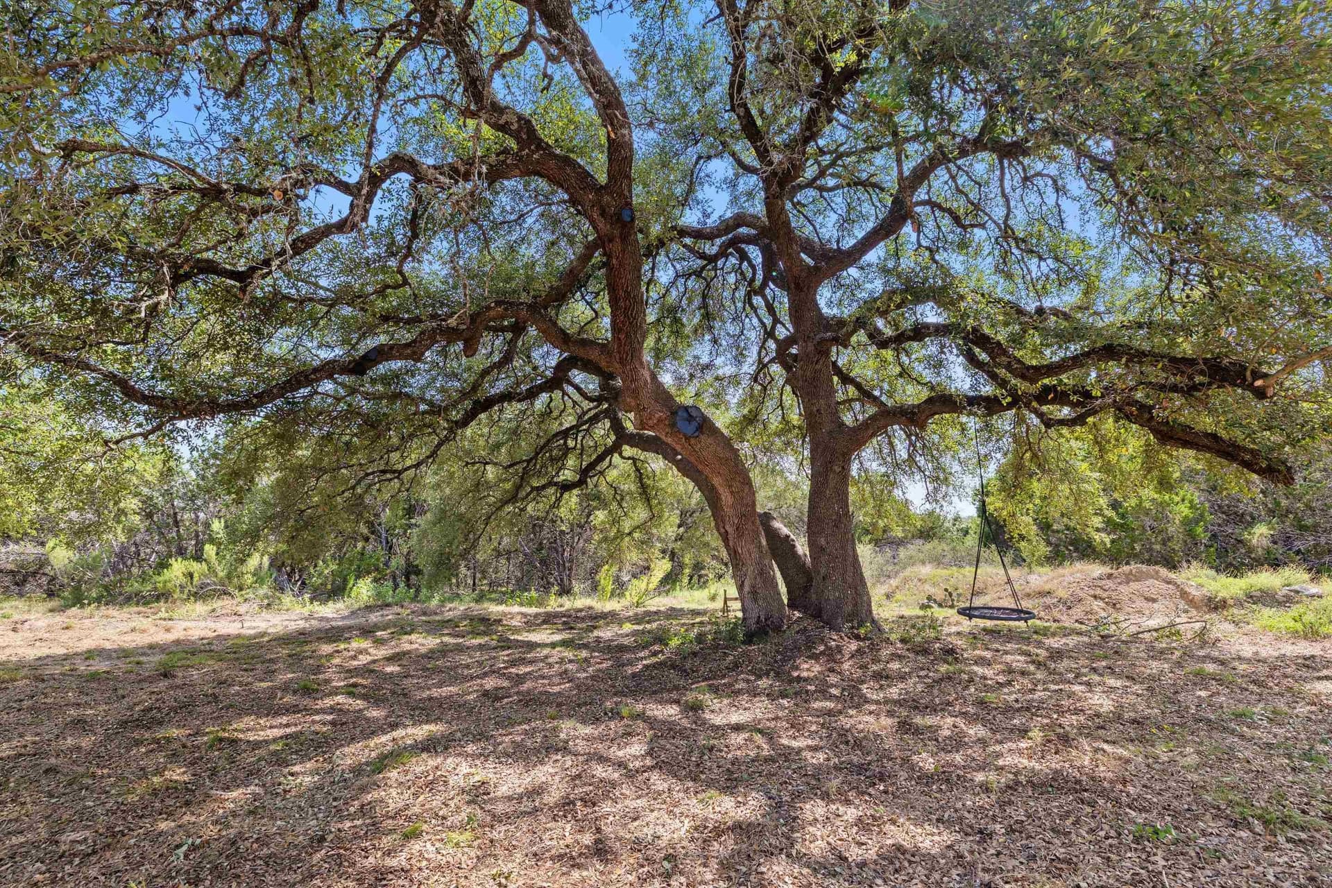 19 acres in Blanco County - photo 12
