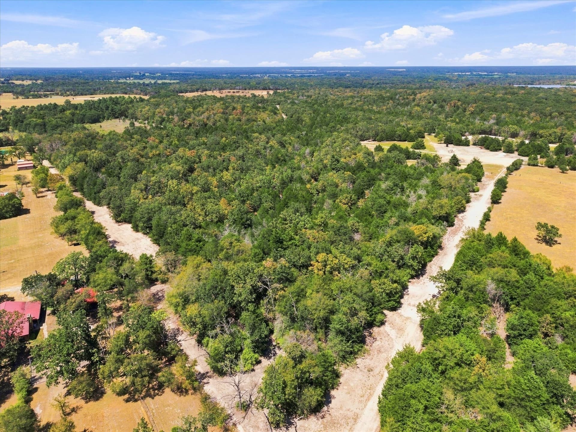 169.08 acres in Limestone County - photo 14