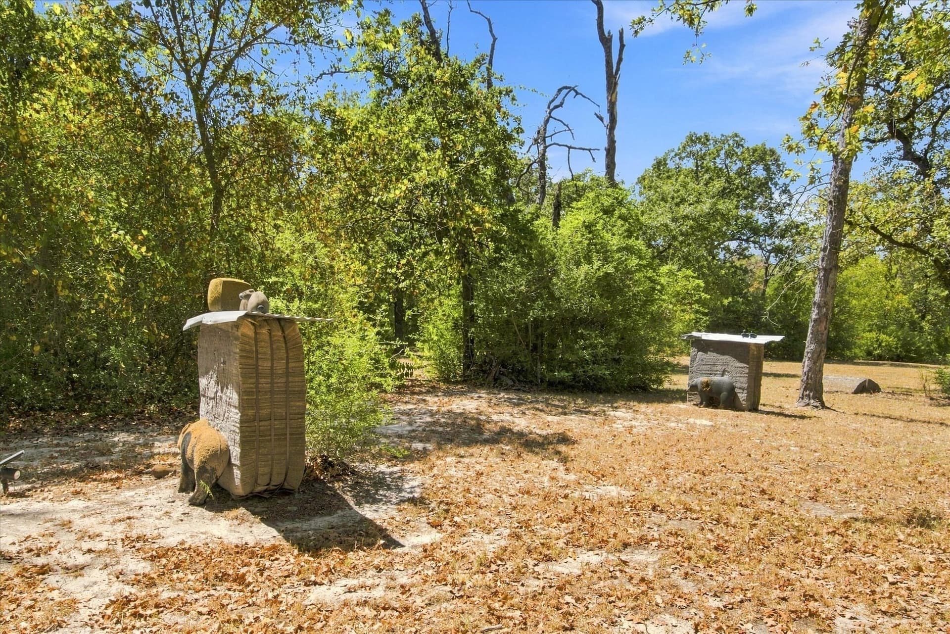 169.08 acres in Limestone County - photo 28