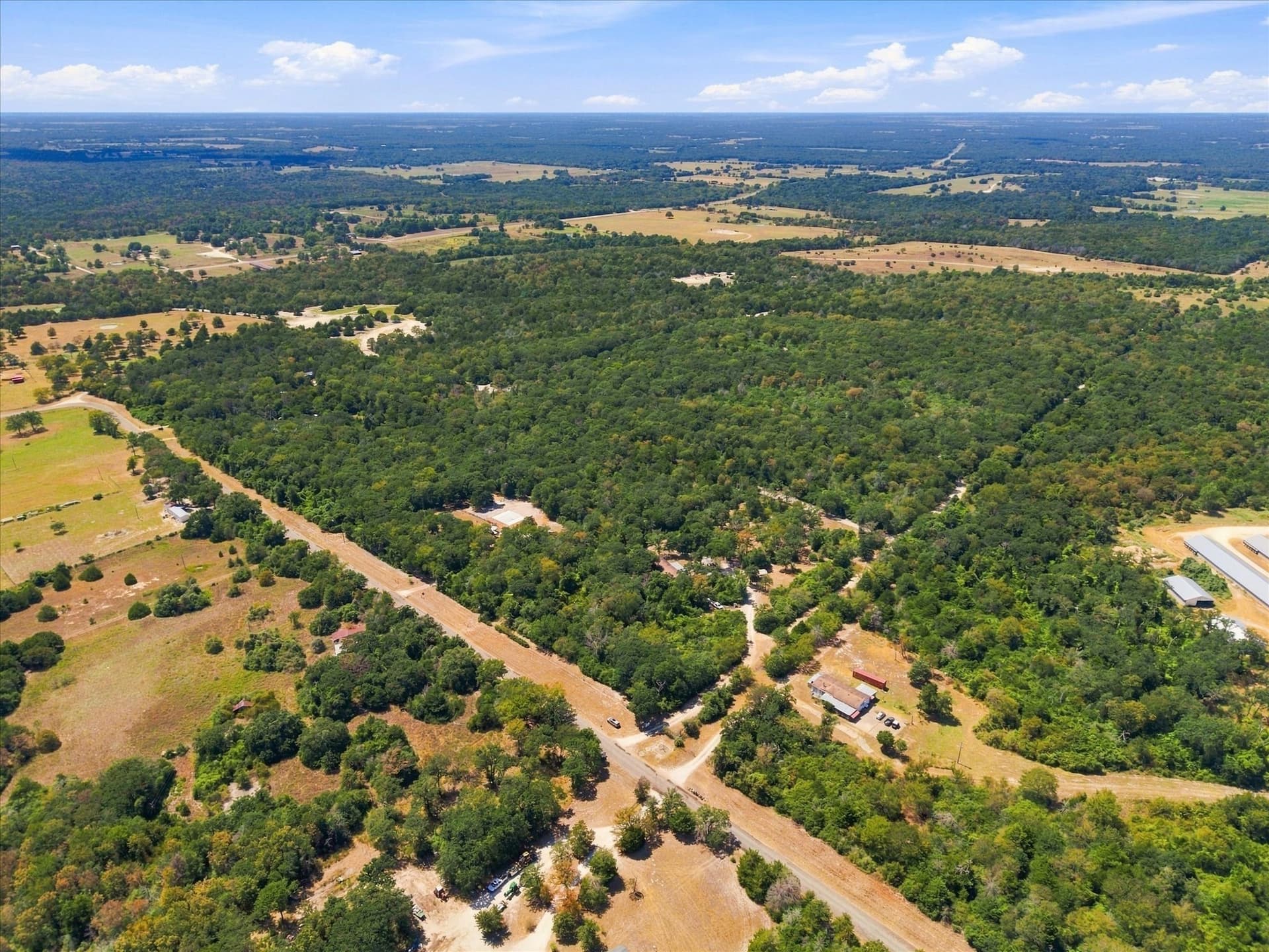 169.08 acres in Limestone County - photo 3