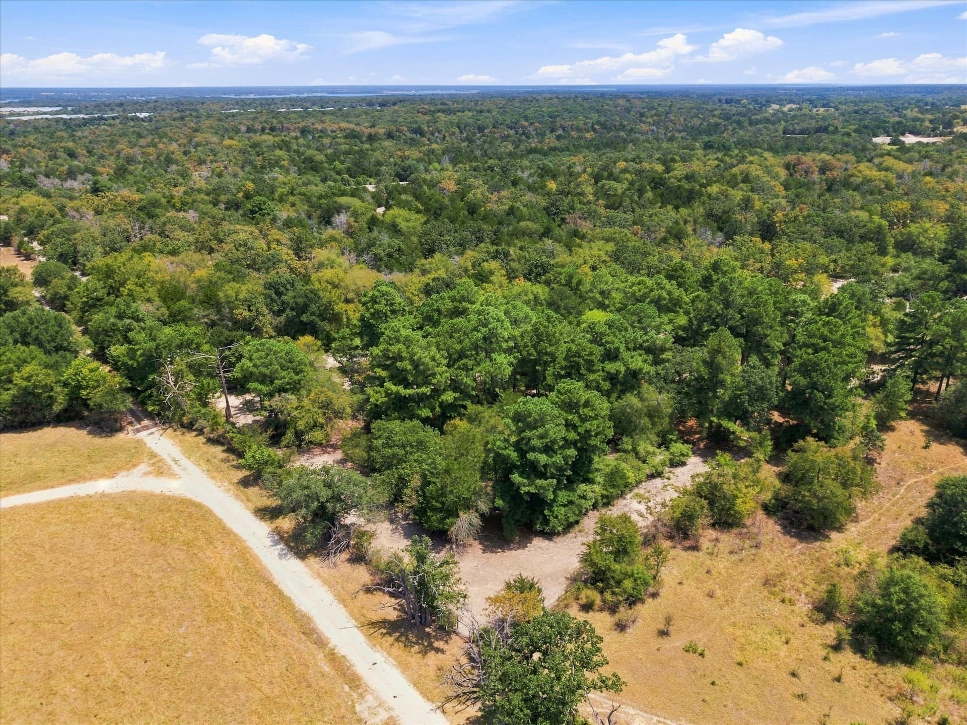 169.08 acres in Limestone County - photo 4