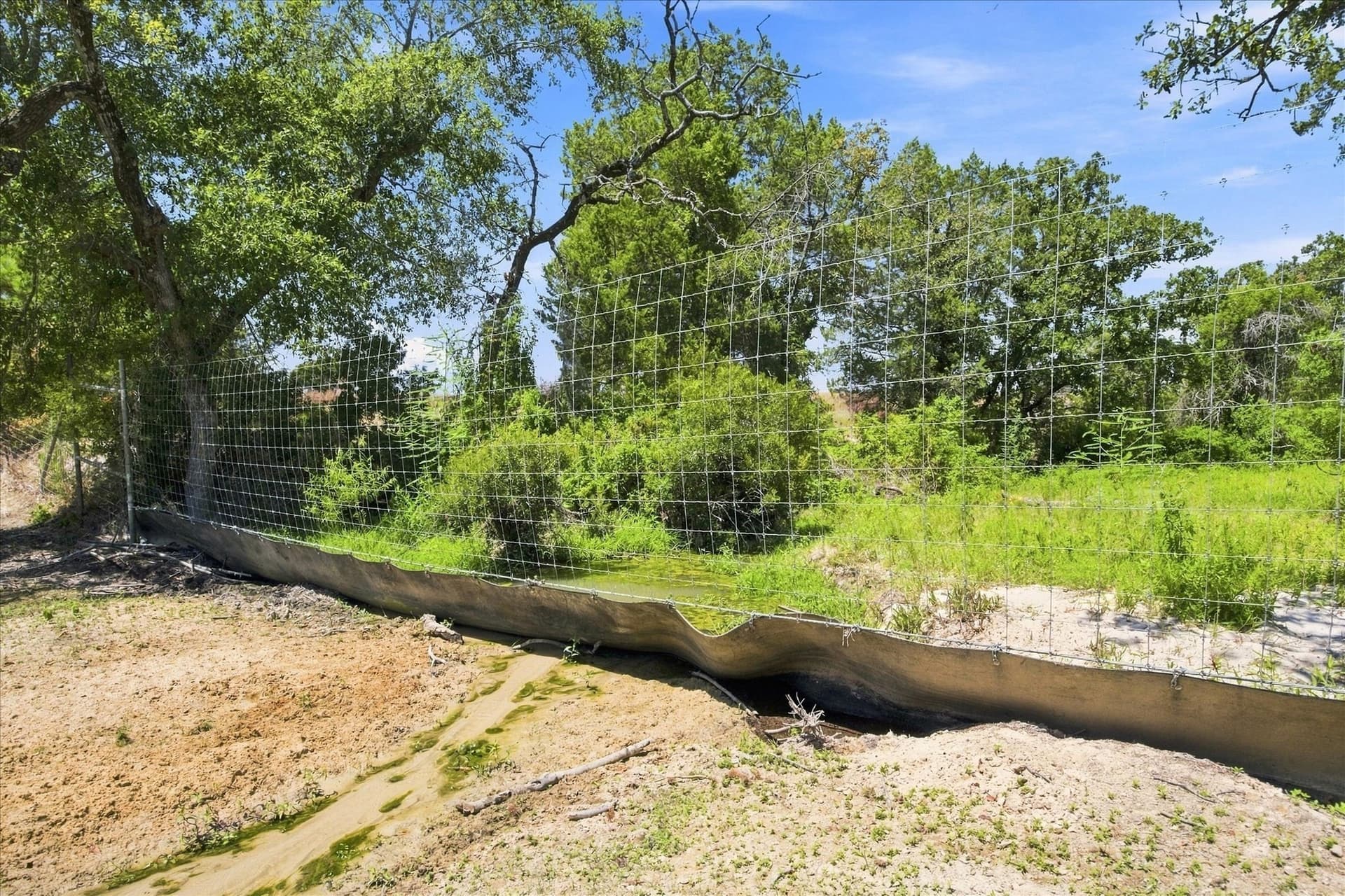 169.08 acres in Limestone County - photo 21