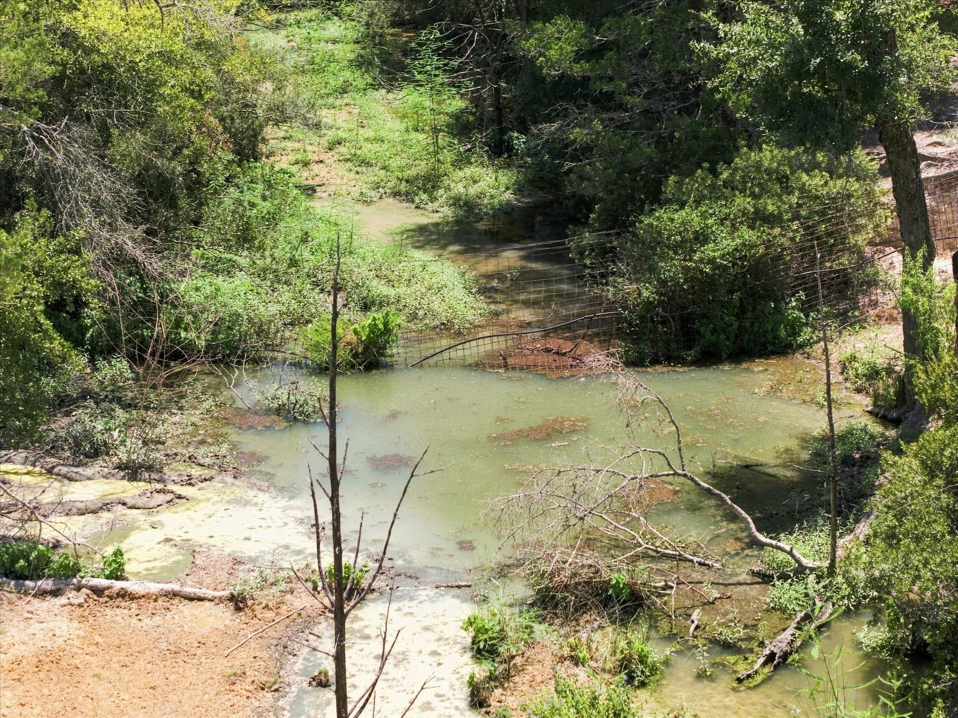 169.08 acres in Limestone County - photo 7
