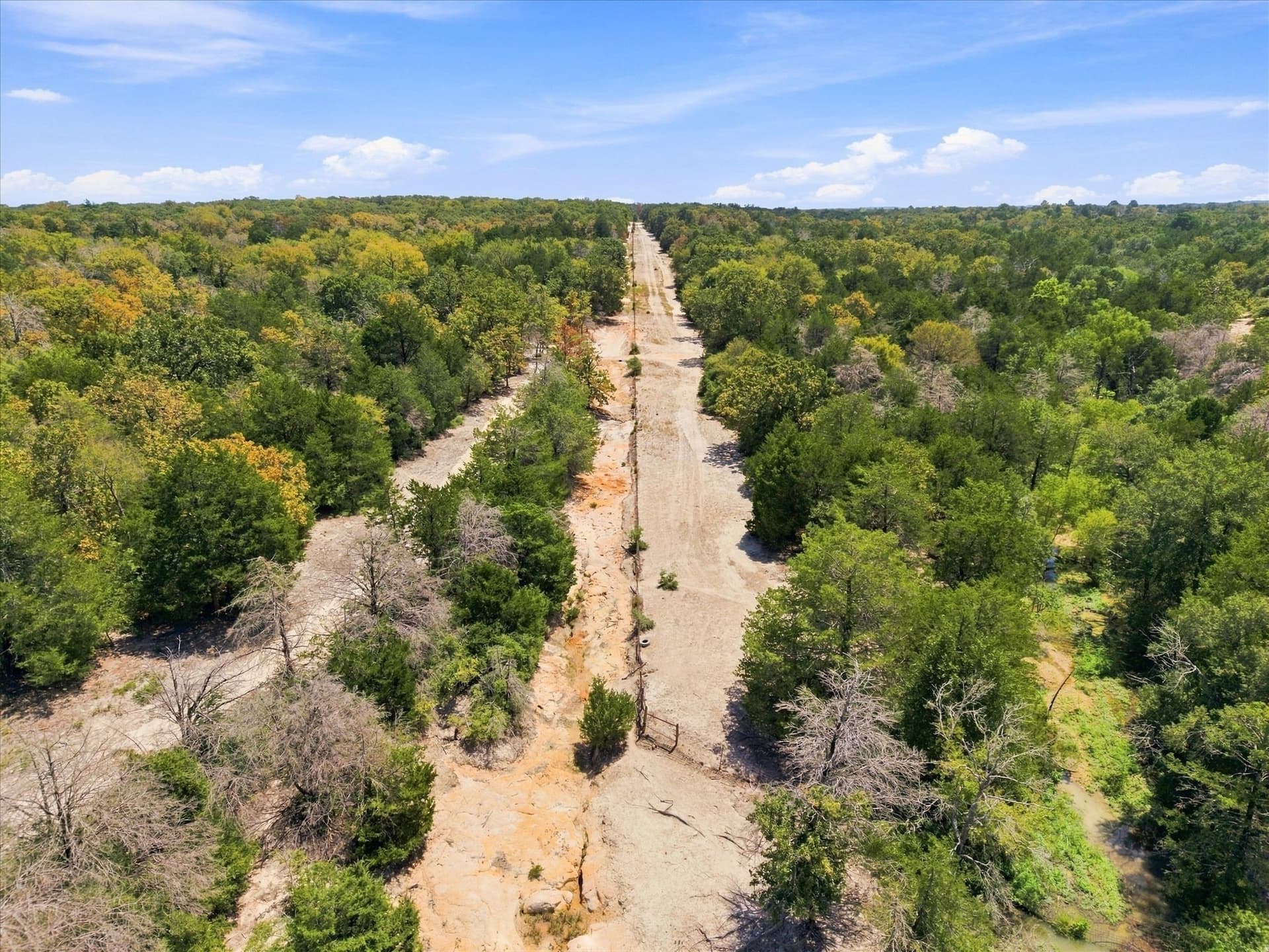 169.08 acres in Limestone County - photo 9