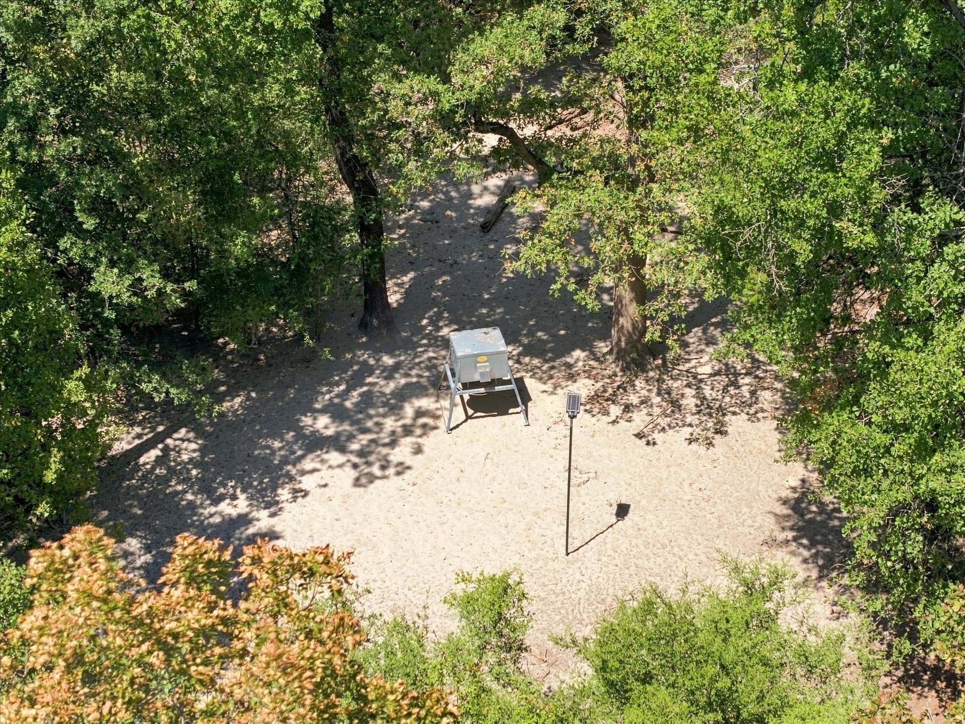 169.08 acres in Limestone County - photo 15