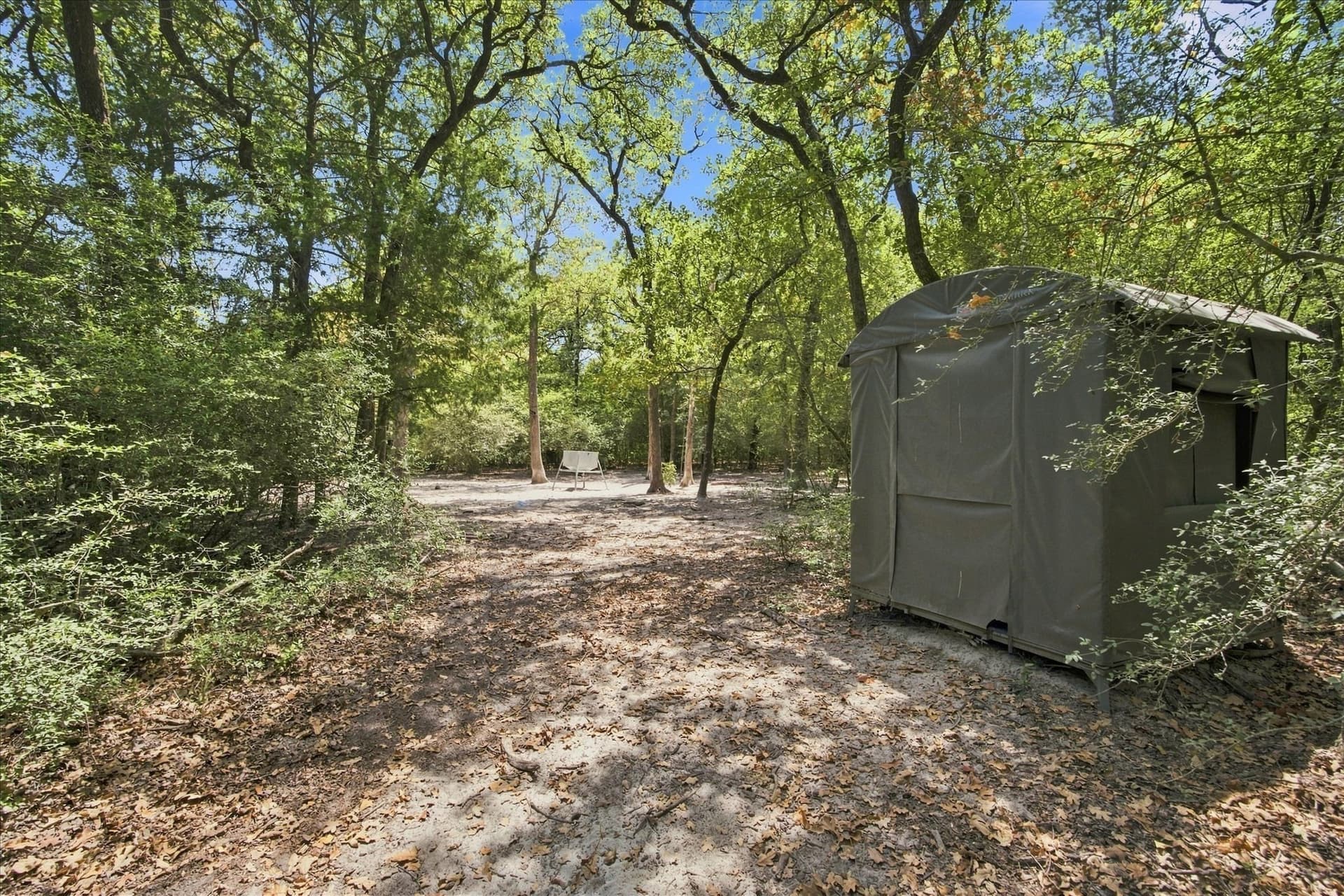 169.08 acres in Limestone County - photo 23