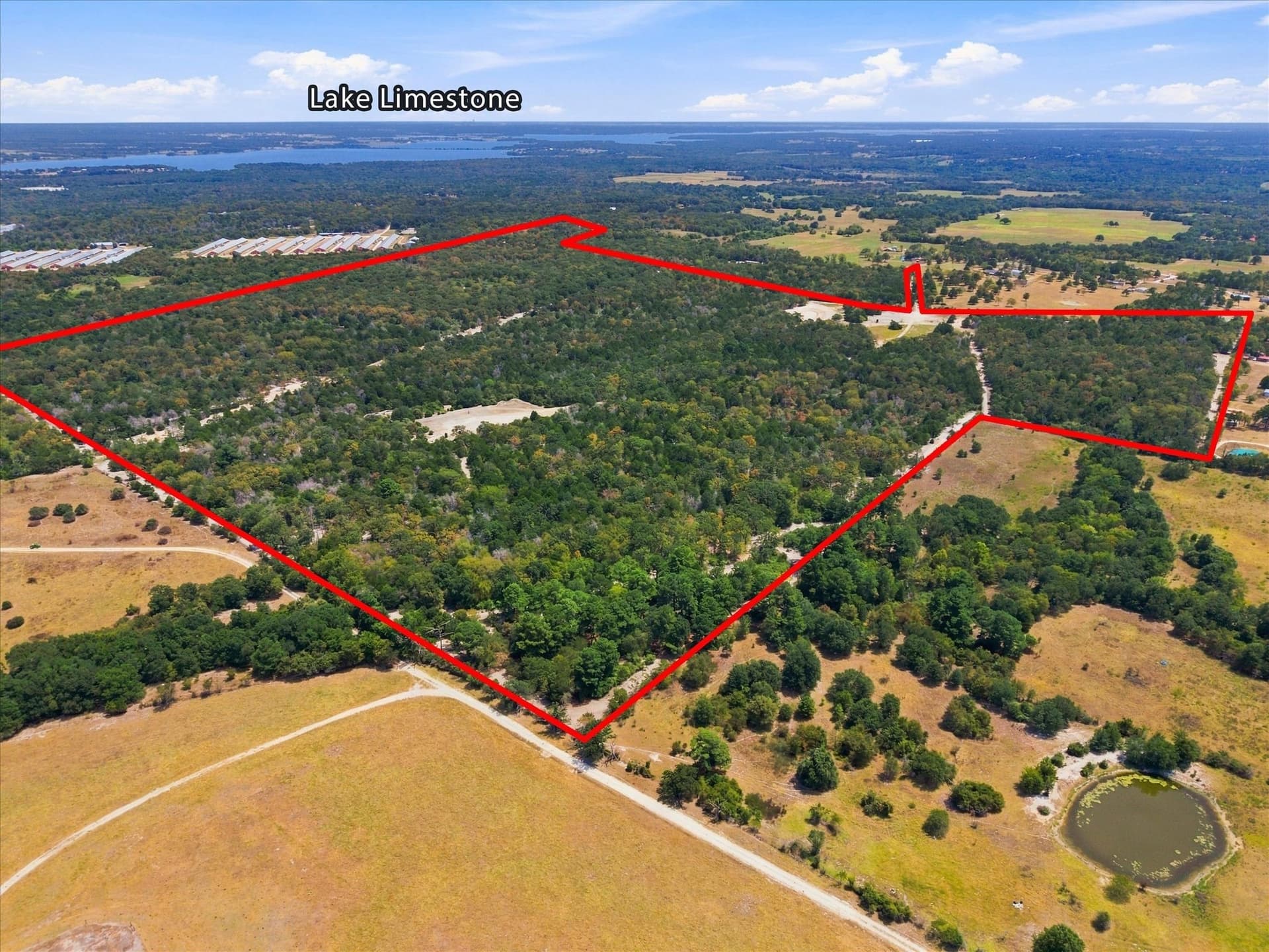 169.08 acres in Limestone County - photo 2