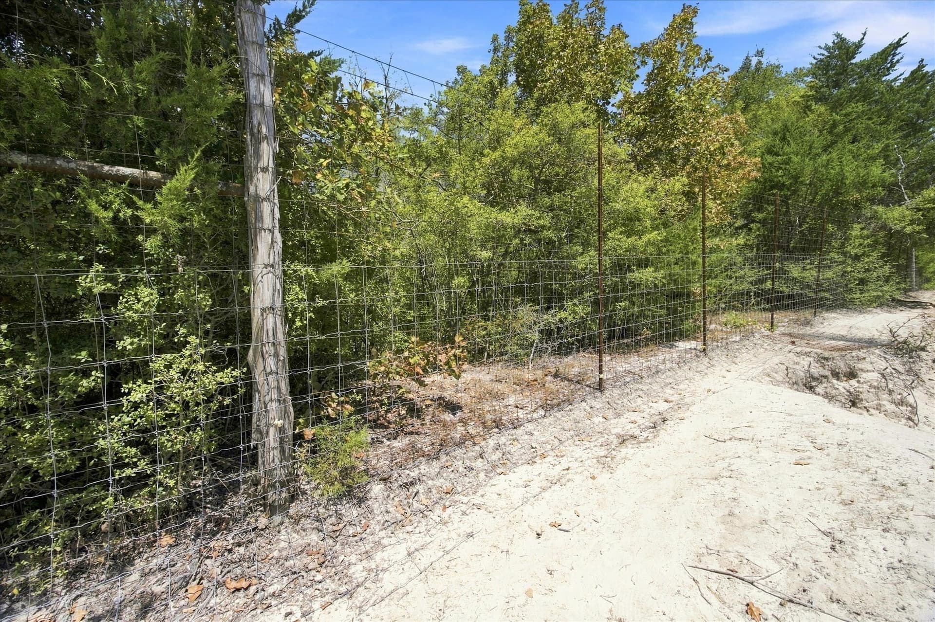 169.08 acres in Limestone County - photo 20