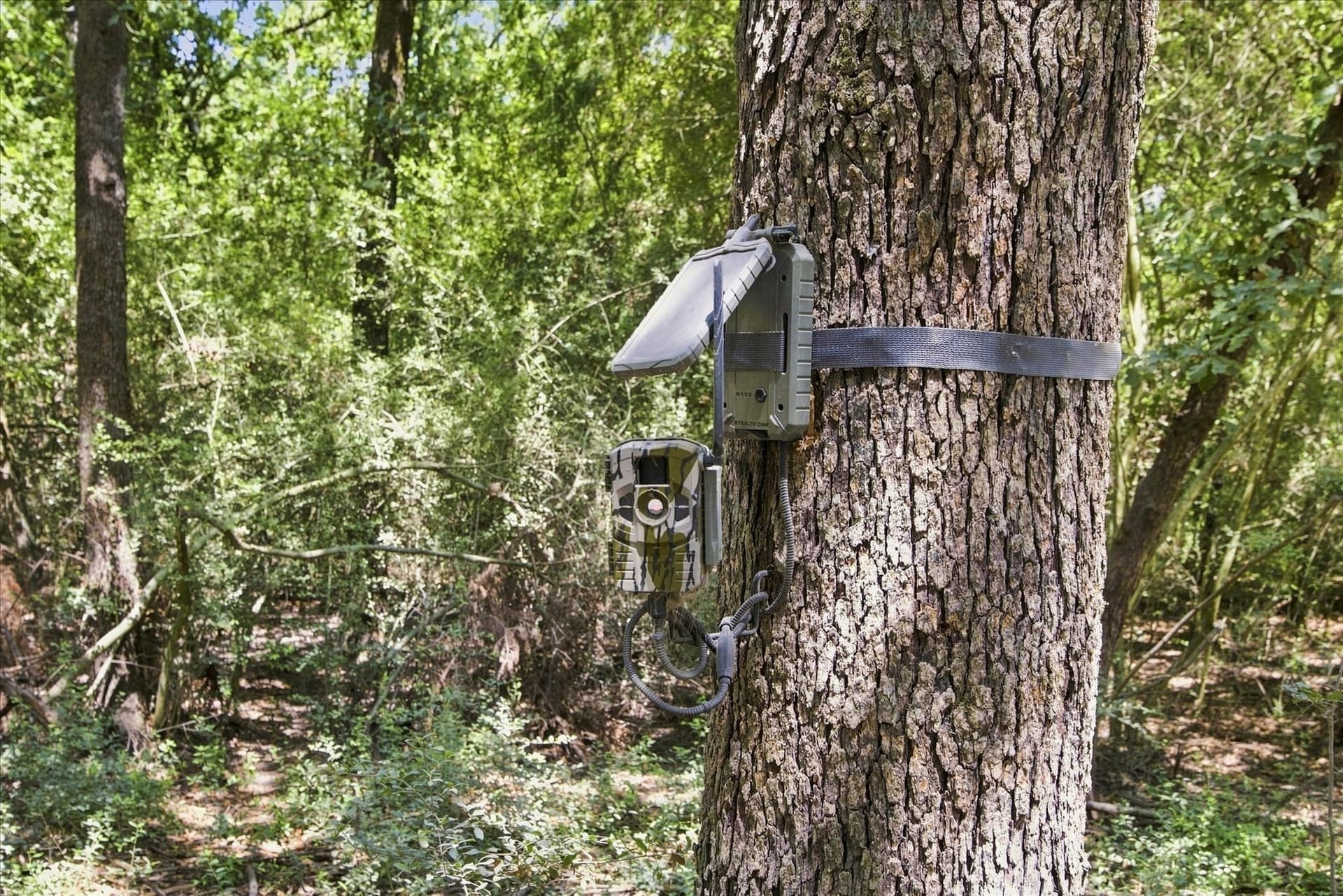 169.08 acres in Limestone County - photo 18