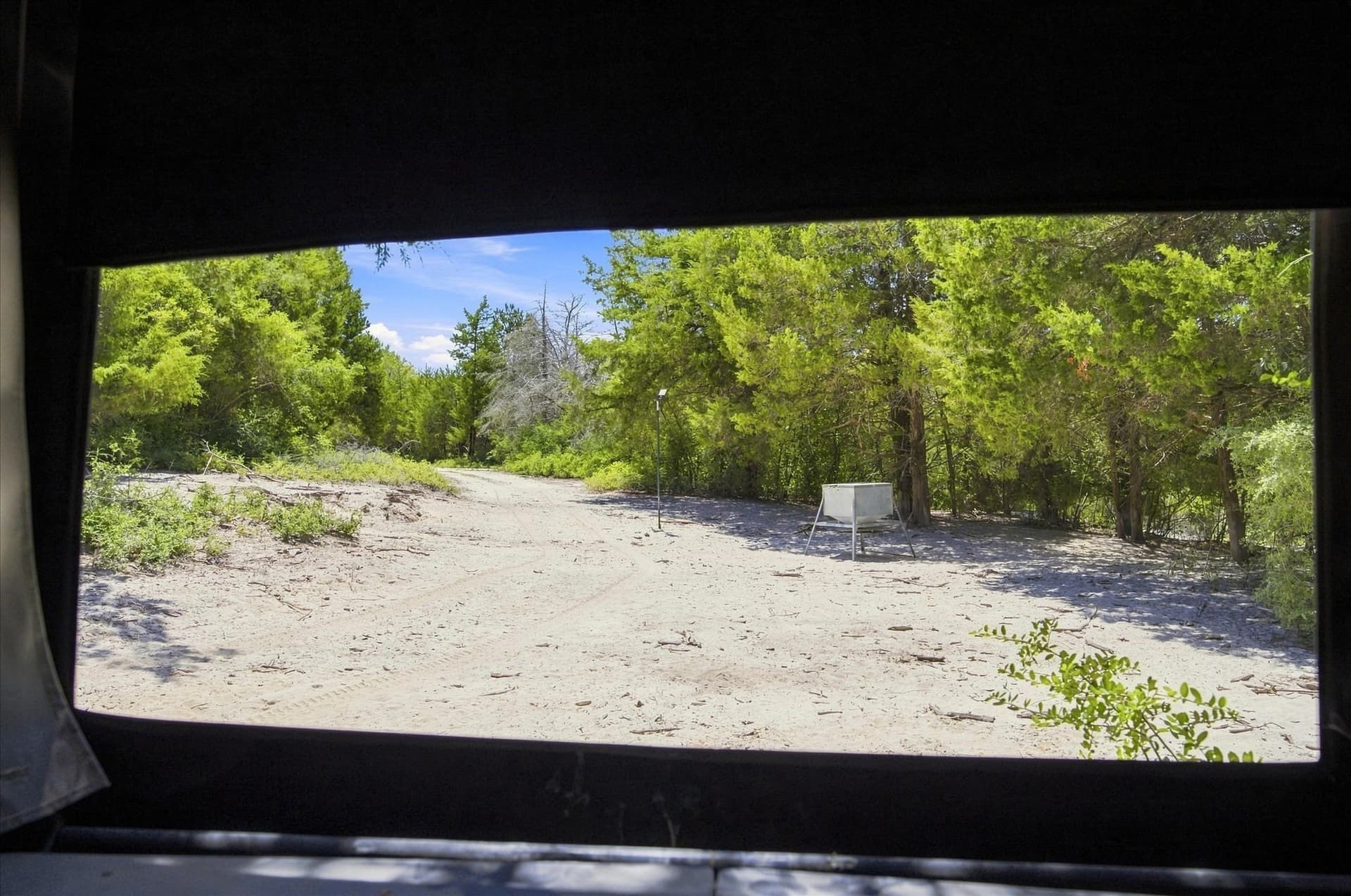169.08 acres in Limestone County - photo 22