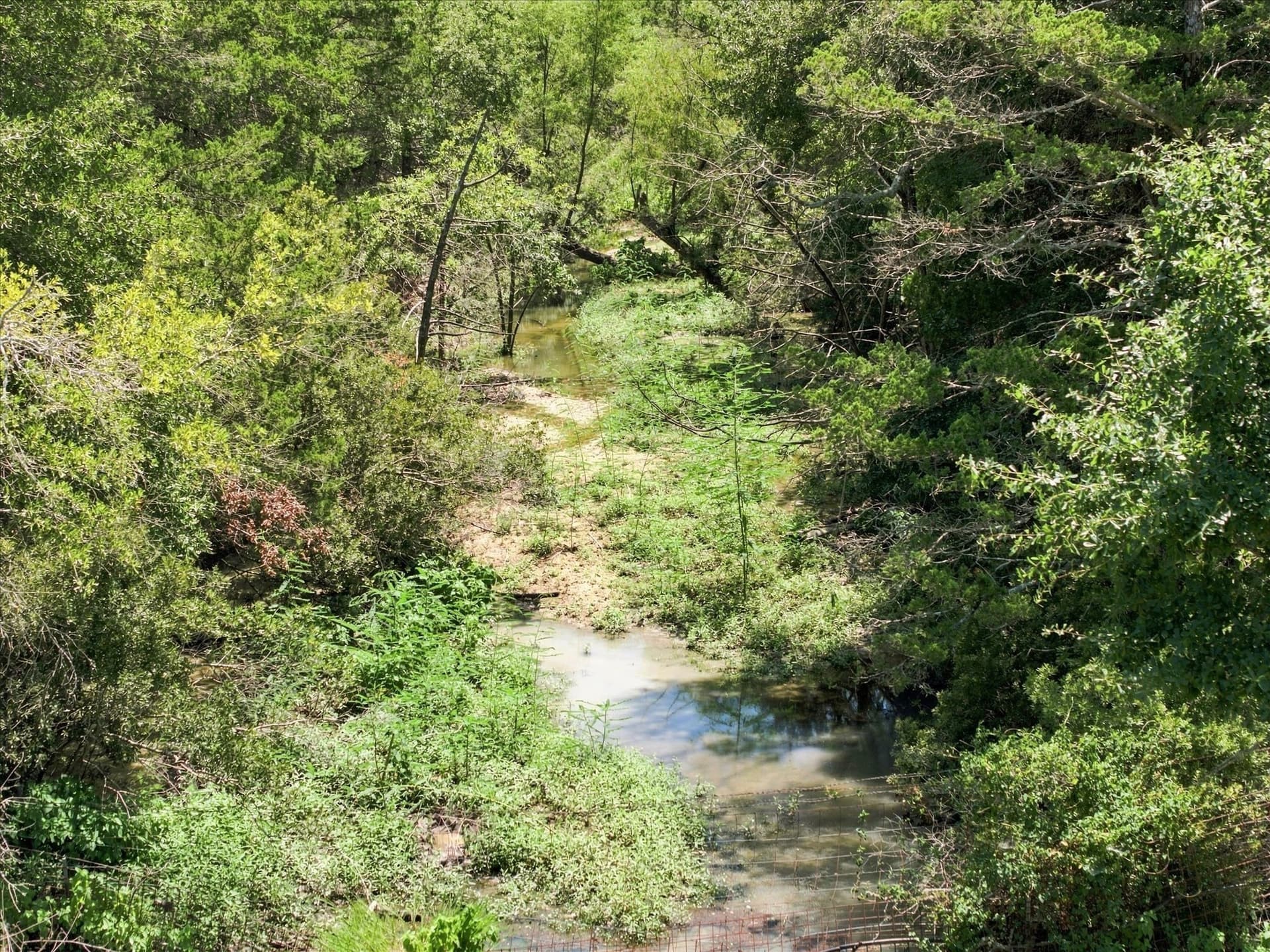 169.08 acres in Limestone County - photo 8