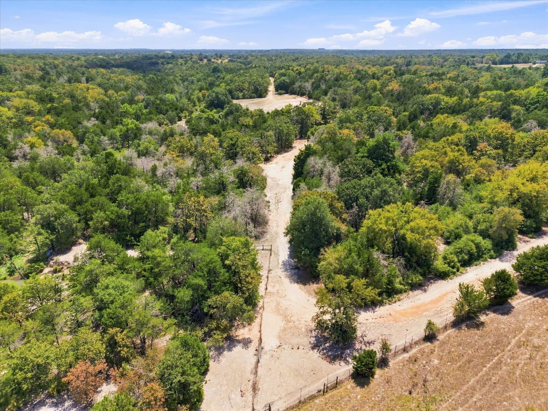 169.08 acres in Limestone County - photo 10
