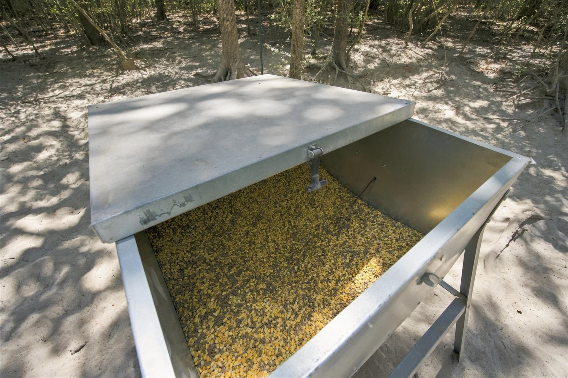 169.08 acres in Limestone County - photo 19
