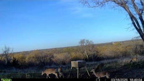 151.74 acres in Denton County - photo 25