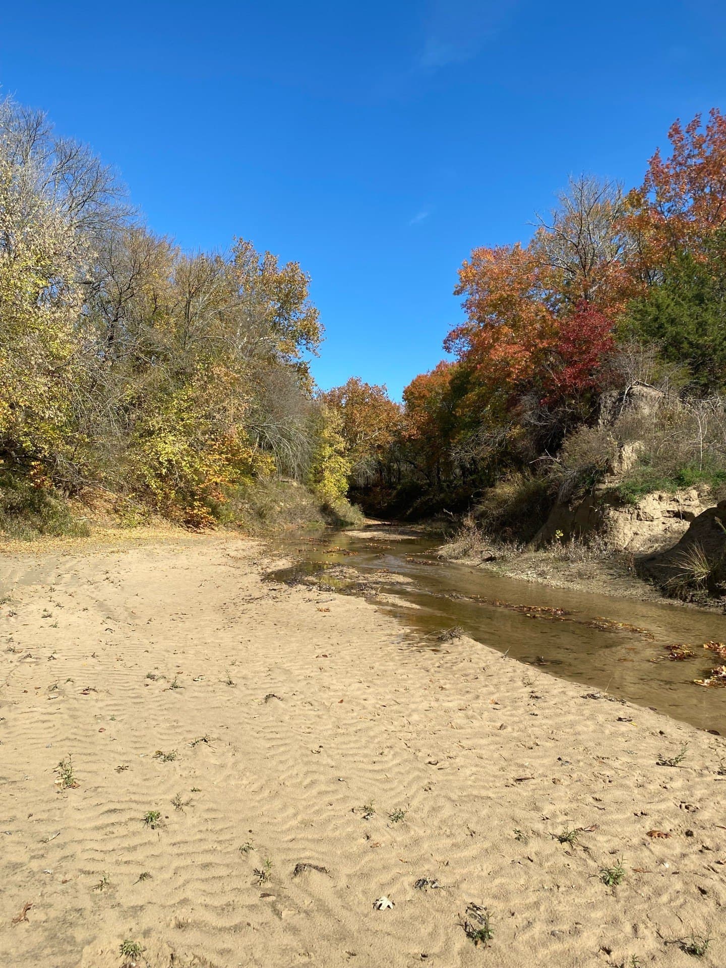 151.74 acres in Denton County - photo 21