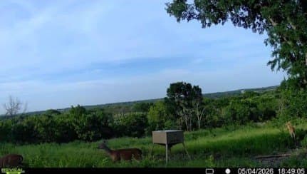 151.74 acres in Denton County - photo 26