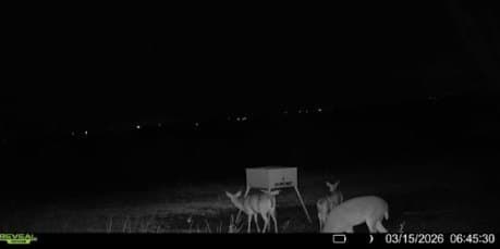 151.74 acres in Denton County - photo 24