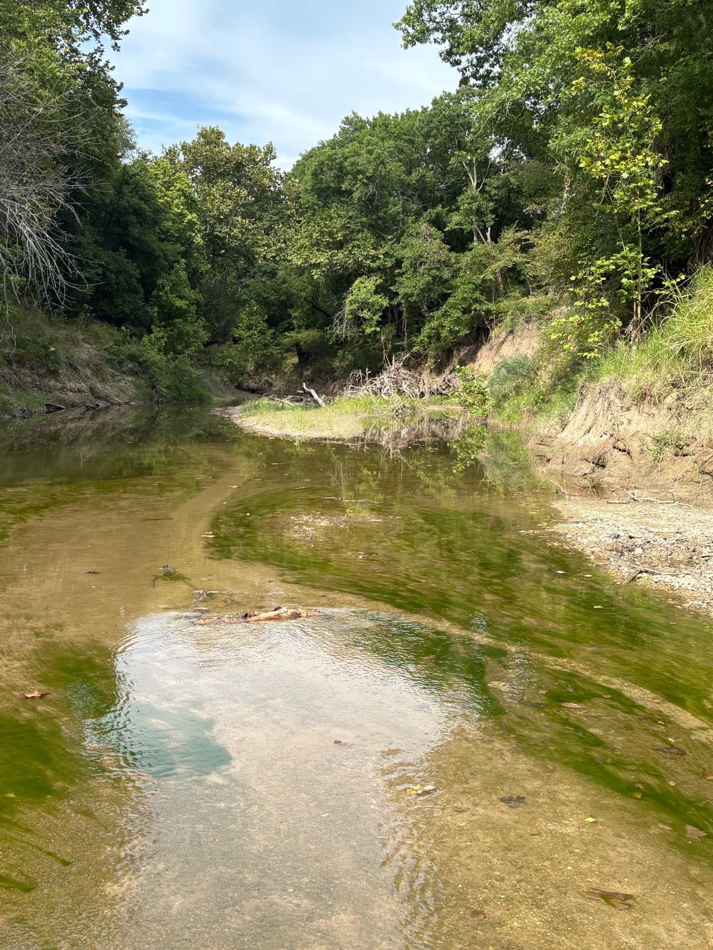 151.74 acres in Denton County - photo 15