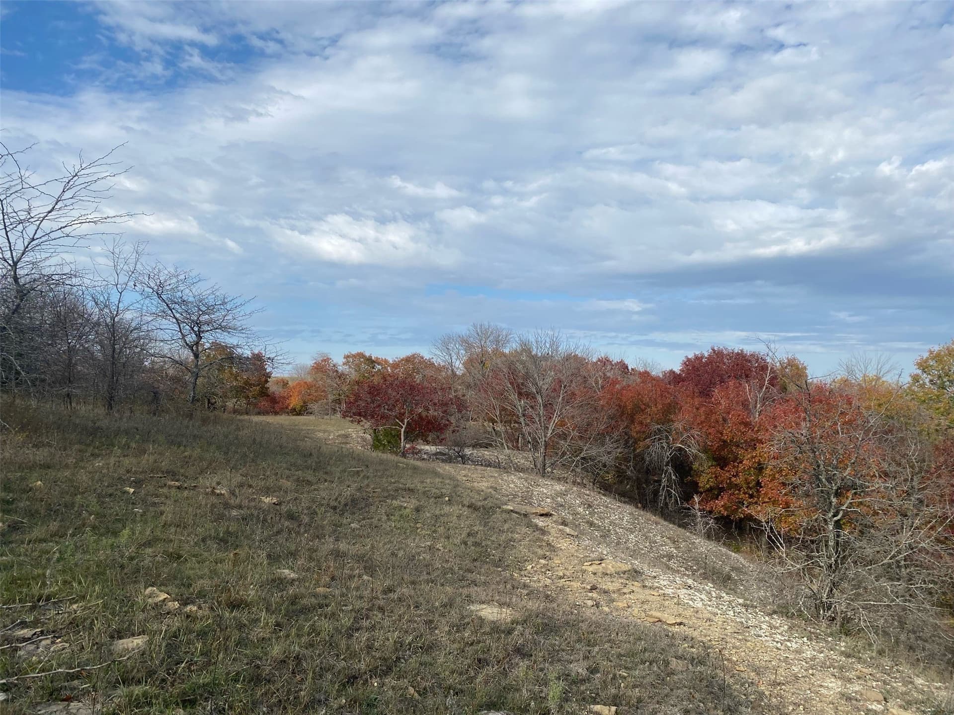 151.74 acres in Denton County - photo 19