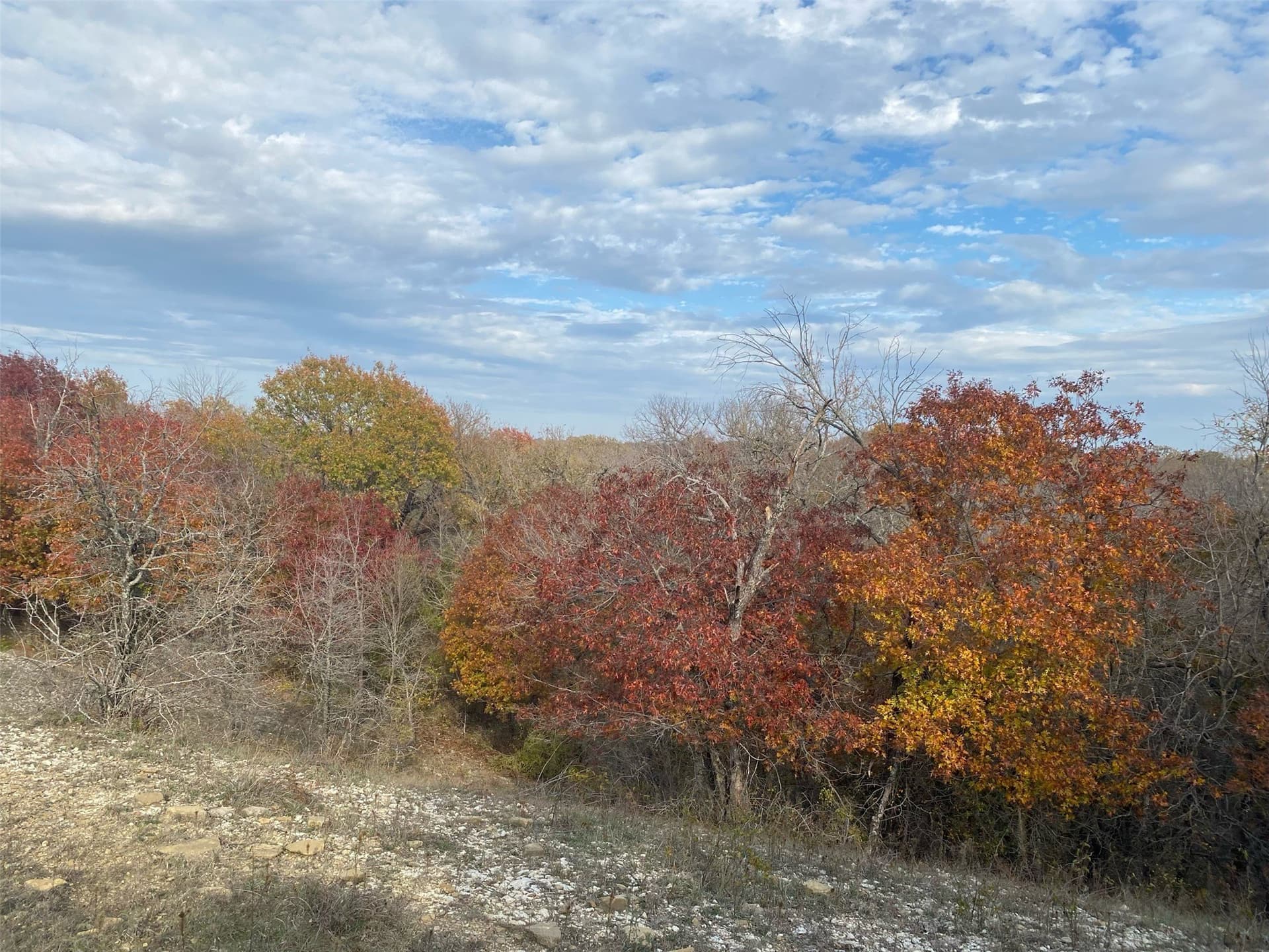 151.74 acres in Denton County - photo 22