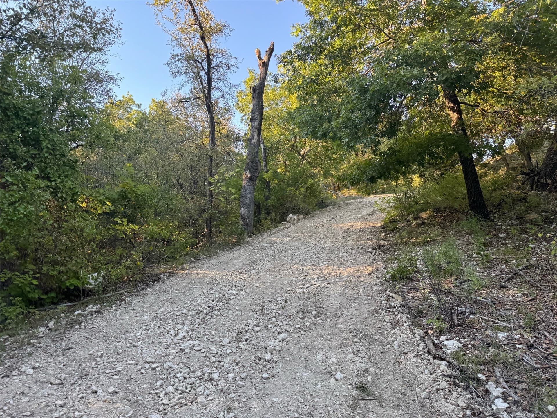 151.74 acres in Denton County - photo 9