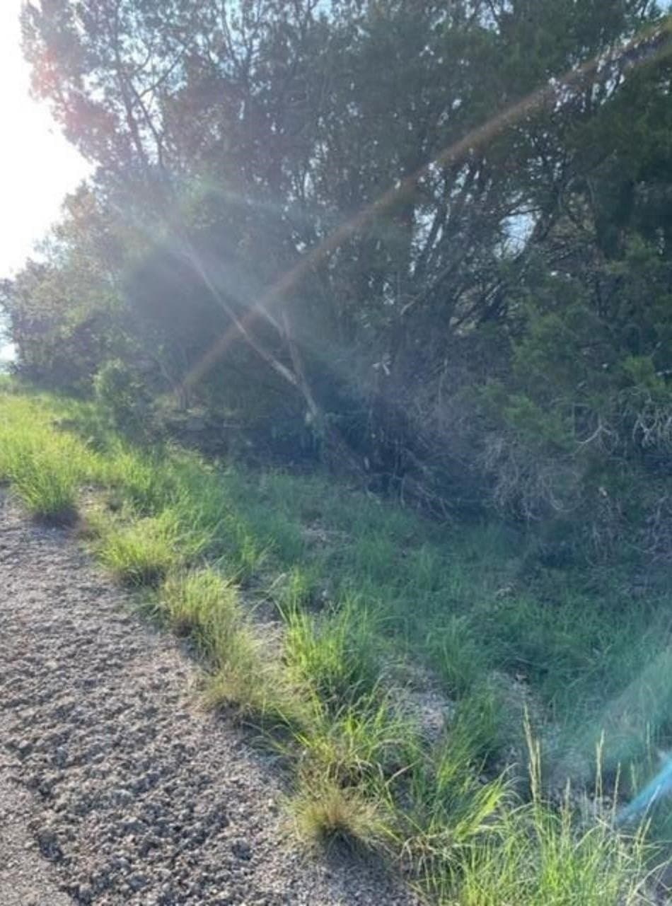 0.28 acres in Burnet County - photo 8