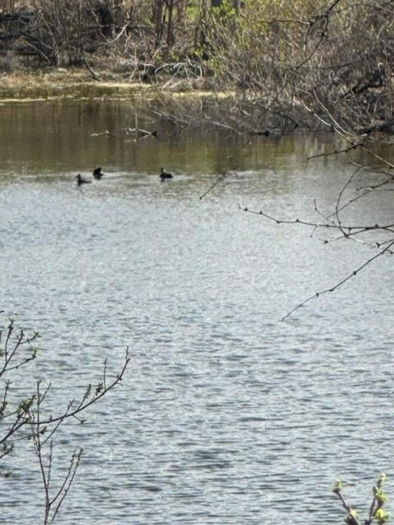 0.28 acres in Burnet County