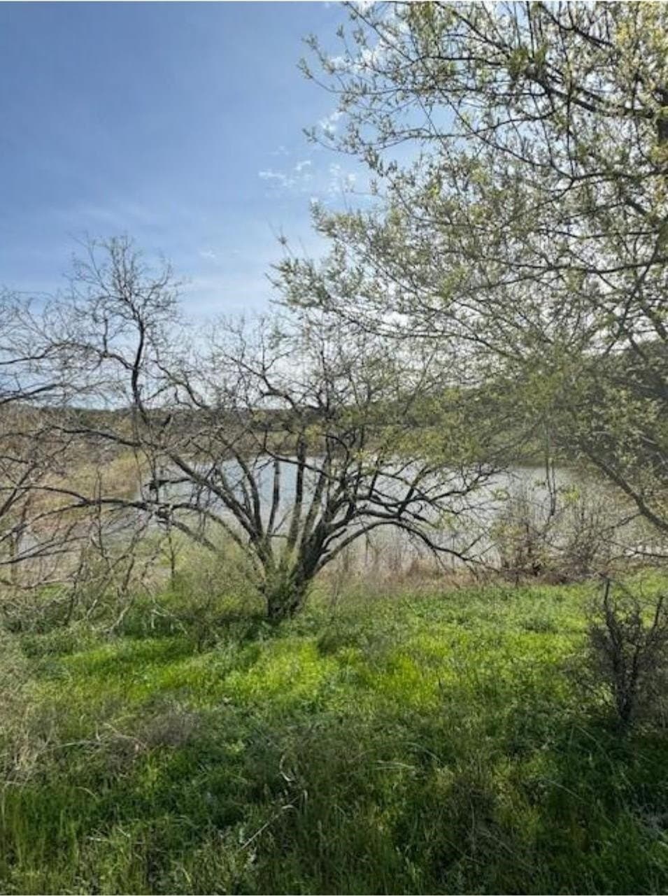 0.28 acres in Burnet County gallery image 2