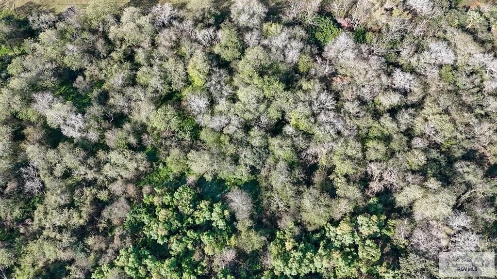 10 acres in CAMERON County - photo 9