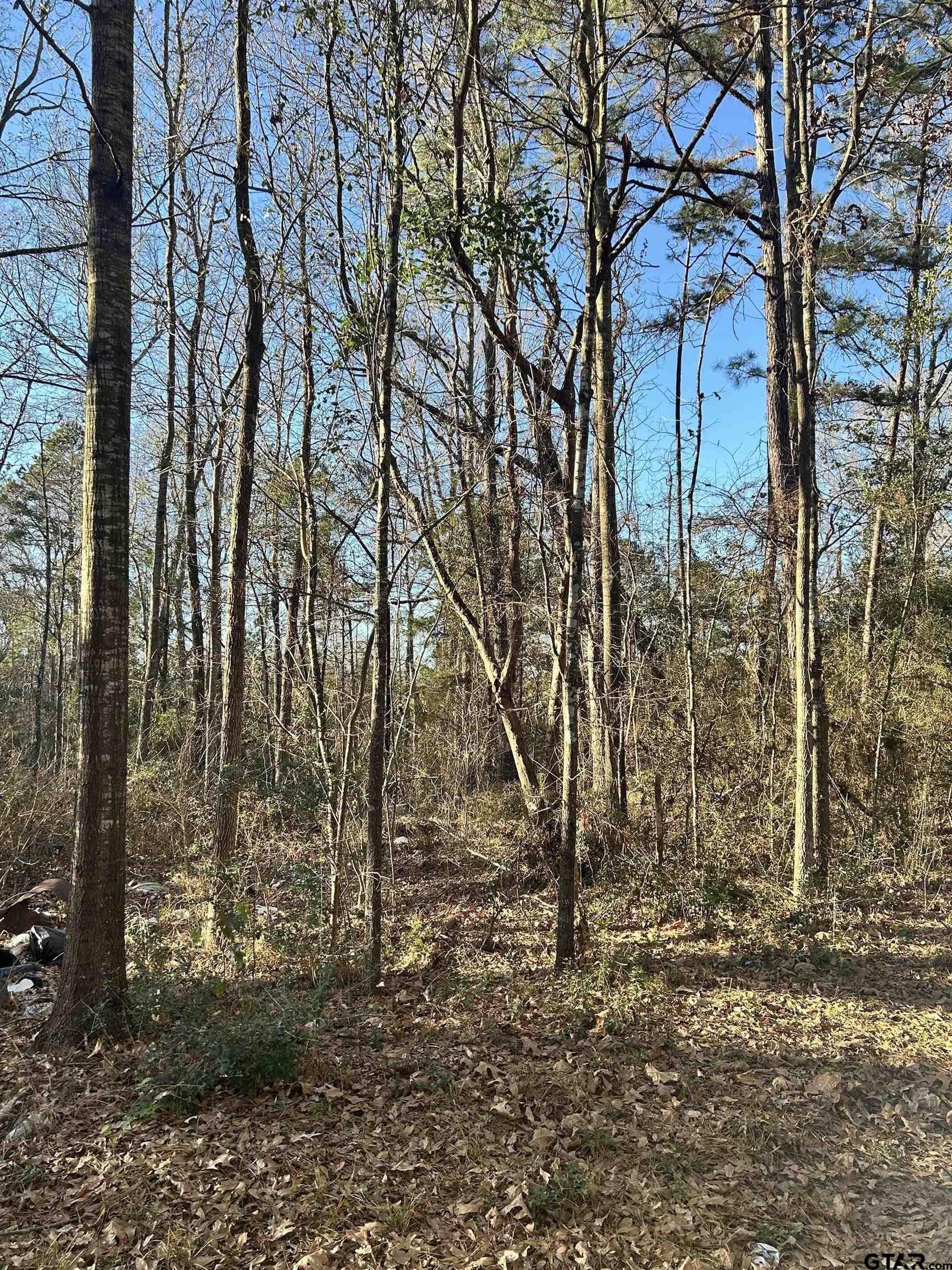 18 acres in Rusk County gallery image 4