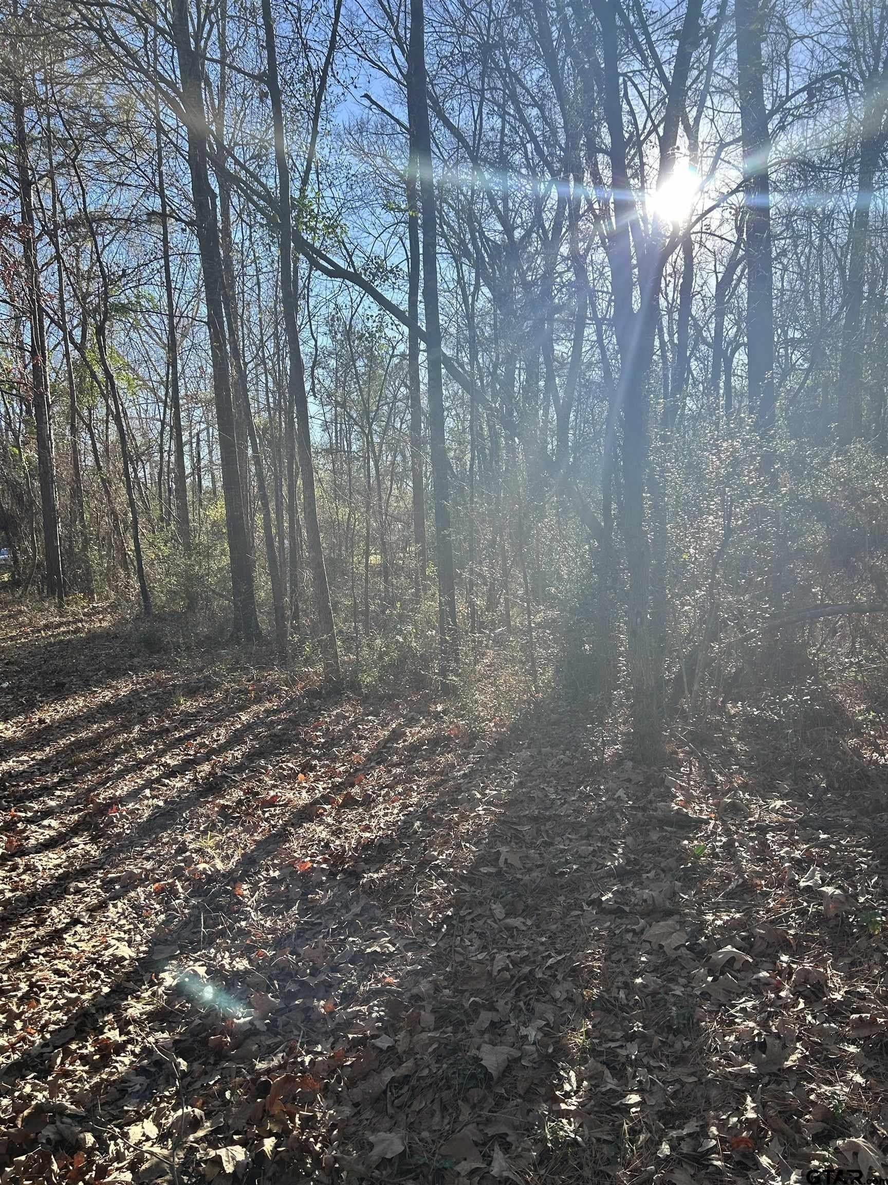 18 acres in Rusk County featured view