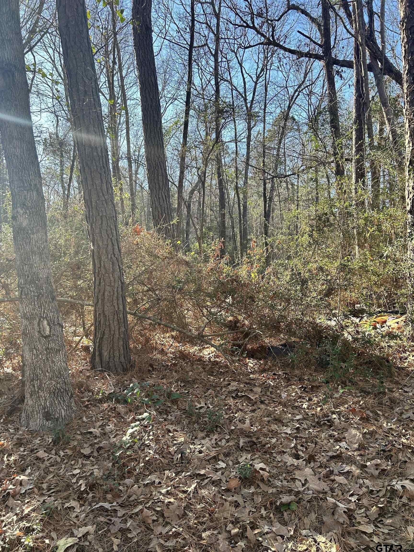 18 acres in Rusk County gallery image 3